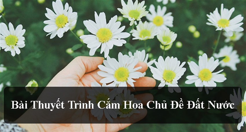 Bài thuyết trình cắm hoa chủ đề đất nước