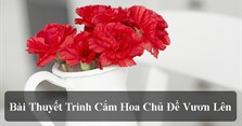 Bài thuyết trình cắm hoa chủ đề vươn lên