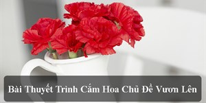 Bài thuyết trình cắm hoa chủ đề vươn lên