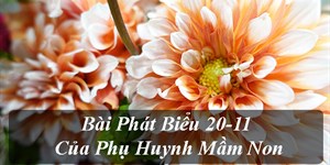 Bài phát biểu của phụ huynh học sinh mầm non ngày 20-11