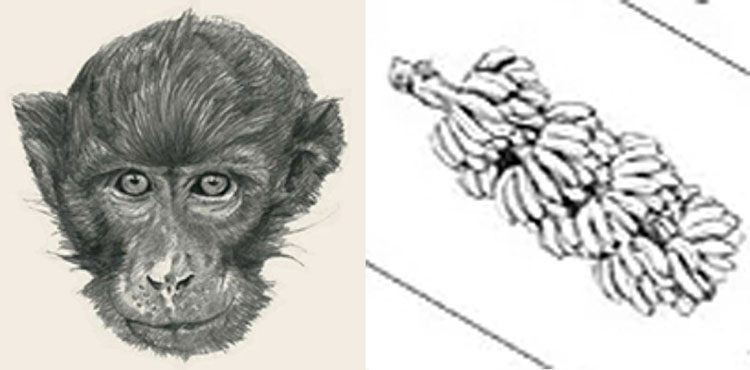 Bộ sưu tập hình ảnh tải miễn phí cho App Animal 4D