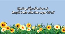 Hướng dẫn cắm hoa và thuyết trình cắm hoa ngày 20-11