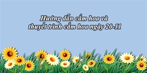 Hướng dẫn cắm hoa và thuyết trình cắm hoa ngày 20-11