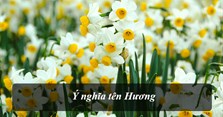 Ý nghĩa tên Hương