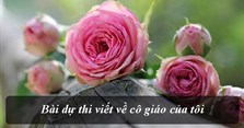Bài dự thi viết về cô giáo của tôi