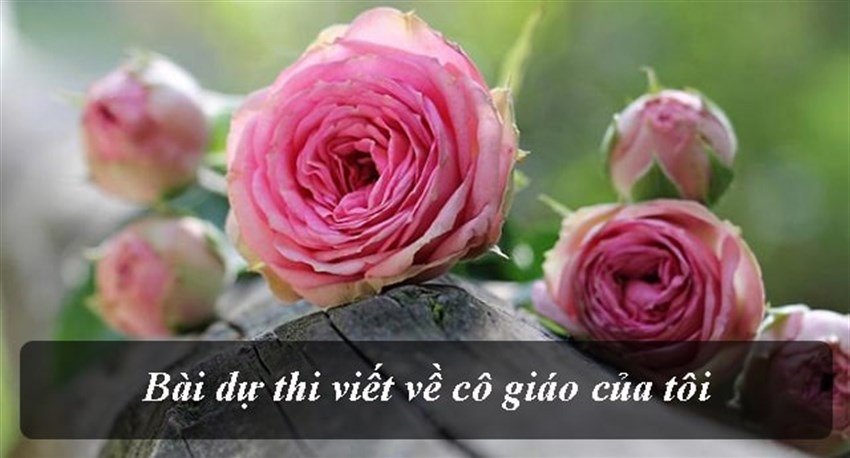 Bài dự thi viết về cô giáo của tôi