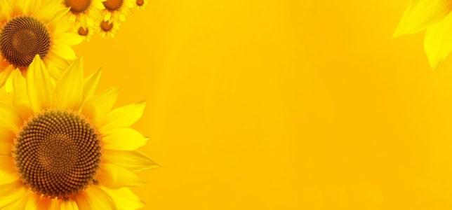 Hình nền PPT đẹp