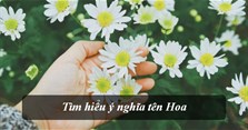 Ý nghĩa tên Hoa