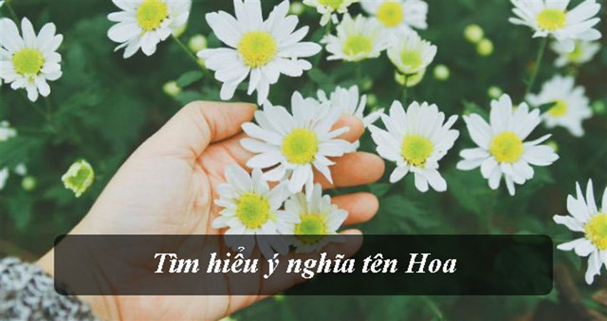 Ý nghĩa tên Hoa