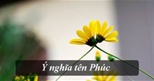 Ý nghĩa tên Phúc