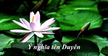 Ý nghĩa tên Duyên