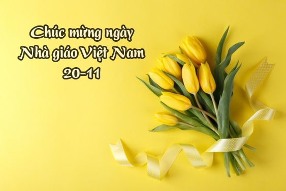 Xã luận 20-11