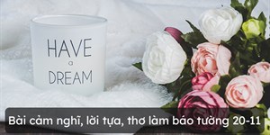 Những bài cảm nghĩ, lời tựa, thơ làm báo tường 20-11