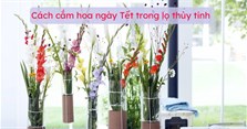Cách cắm hoa ngày Tết trong lọ thủy tinh đẹp độc đáo