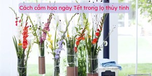 Cách cắm hoa ngày Tết trong lọ thủy tinh đẹp độc đáo