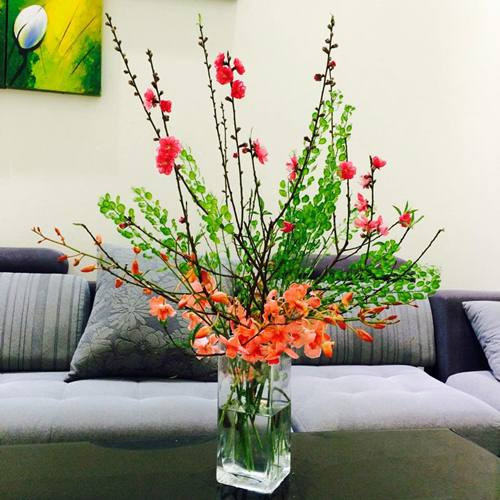 Cách cắm hoa tròn lọ thủy tinh