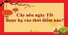 Cây nêu ngày Tết được hạ vào thời điểm nào?