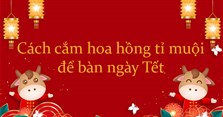 Cách cắm hoa hồng tỉ muội để bàn