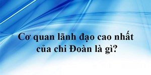 Cơ quan lãnh đạo cao nhất của chi Đoàn là gì?