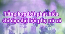 Tổng hợp bài phát biểu chỉ đạo đại hội phụ nữ xã