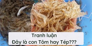 Sự khác biệt giữa con tôm và con tép