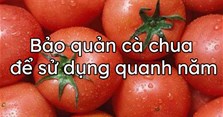 Cách bảo quản cà chua để sử dụng quanh năm