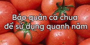 Cách bảo quản cà chua để sử dụng quanh năm