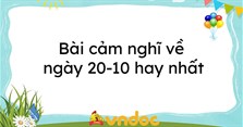 Bài cảm nghĩ về ngày 20-10 hay nhất năm 2025
