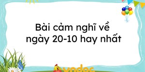 Bài cảm nghĩ về ngày 20-10 hay nhất năm 2024