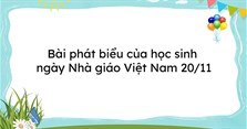 Bài phát biểu của học sinh ngày Nhà giáo Việt Nam 20/11