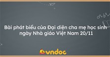 Bài phát biểu của Đại diện cha mẹ học sinh ngày Nhà giáo Việt Nam 20/11