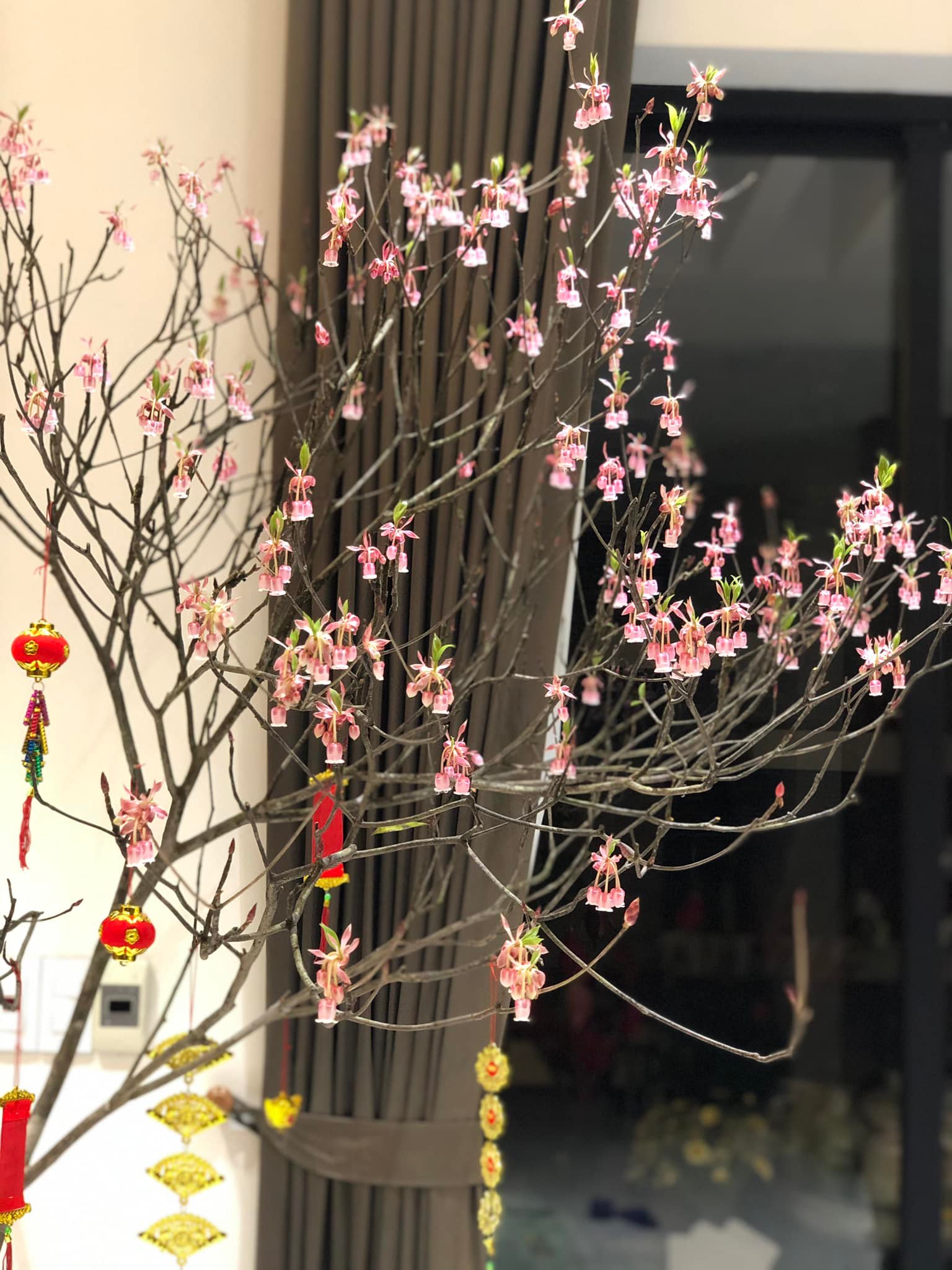 Cắm hoa đào chuông Yên Tử