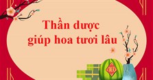 Thần dược giúp hoa tươi lâu
