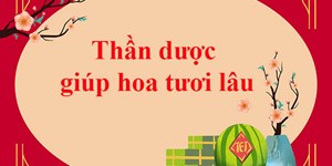 Thần dược giúp hoa tươi lâu