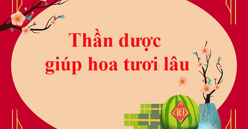 Thần dược giúp hoa tươi lâu