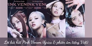 Lời bài hát Pink Venom (lyrics & phiên âm tiếng Việt)