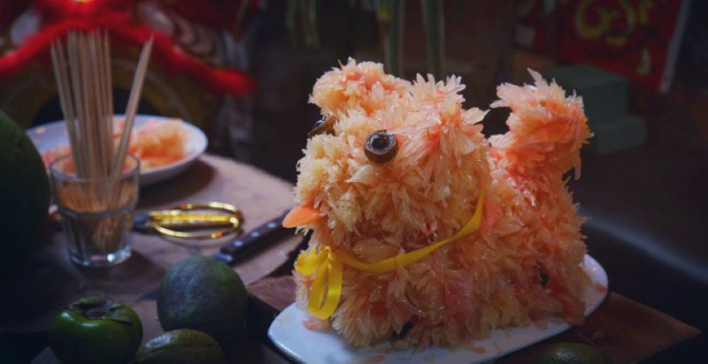 Trang trí cho chú chó