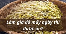 Làm giá đỗ mấy ngày thì được ăn?