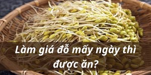 Làm giá đỗ mấy ngày thì được ăn?