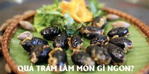 Quả trám đen làm món gì? 5 Cách làm quả trám đen ngon nhất