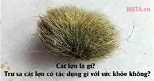 Cát lợn là gì? Trư sa cát lợn có tác dụng gì với sức khỏe không?