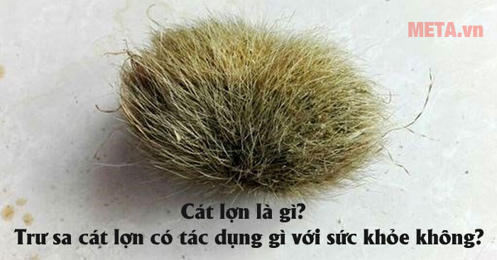 Cát lợn là gì