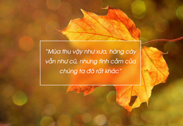 Cap về thu Hà Nội