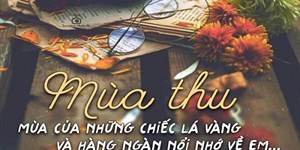 40 Stt mùa thu Hà Nội ngắn hay đầy thương nhớ