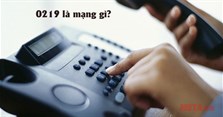 0219 là mạng gì? Đầu số 0219 ở đâu, đổi thành gì?