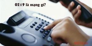 0219 là mạng gì? Đầu số 0219 ở đâu, đổi thành gì?