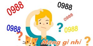 0988 là mạng gì, đổi thành gì? Ý nghĩa đầu số 0988