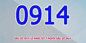 0914 là mạng gì? Đầu số 0914 đổi thành gì, có đẹp không?