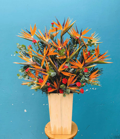  Mẫu hoa chúc mừng ngày Doanh Nhân Việt Nam 