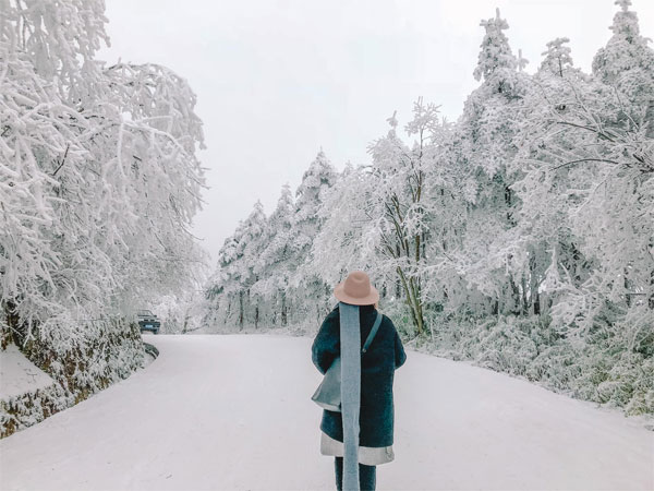 Câu nói về mùa đông buồn